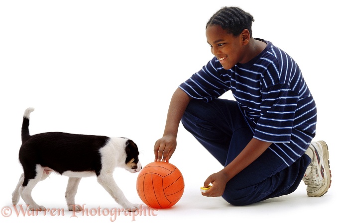 Boy, Laurrie, 11 years old, with border Collie puppy, Oliver, 8 weeks old, white background