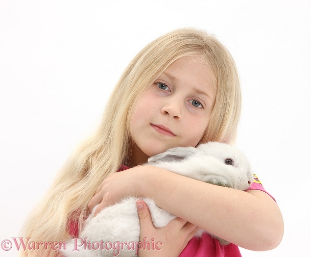 Siena with young white rabbit, white background