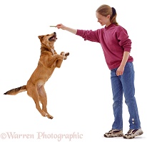 Girl with dog leaping for a chew