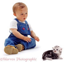 Half Oriental toddler with baby kitten