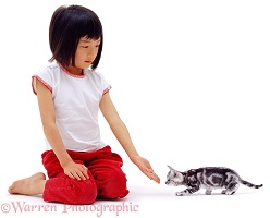 Oriental girl with silver kitten