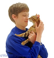Boy and cat touching noses