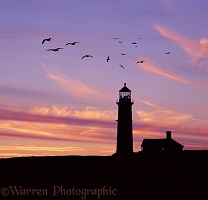 Lundy old lighthouse at sunset