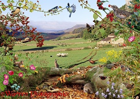 Yorkshire Dales Hedgerow jigsaw