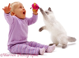 Little girl with mouse toy and kitten