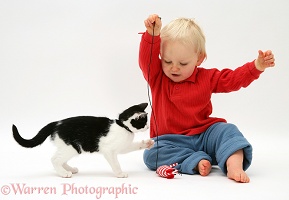 Toddler playing with kitten