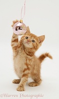 Red tabby kitten playing with a Christmas bauble