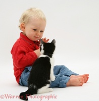 Toddler with Black-and-white kitten