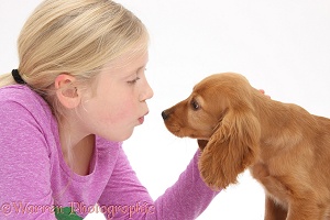 Girl face-to-face with Cocker Spaniel puppy