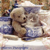 Kitten and teddy in wash-stand set