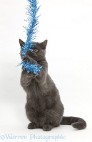Grey kitten grabbing some Christmas tinsel