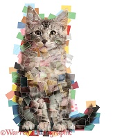 Multiple photo cat mosaic