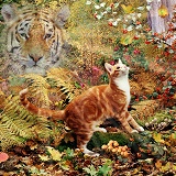 Tiger Tiger jigsaw