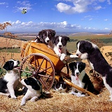 Hay-cart Capers jigsaw