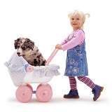Little girl pushing puppy in toy pram