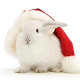 White baby rabbit in a Santa hat