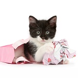 Black-and-white kitten playing with gift bag and wrap