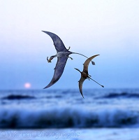 Pterosaurs at sunset