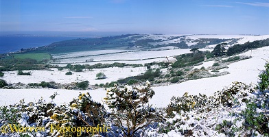 Spring snow in Dorset