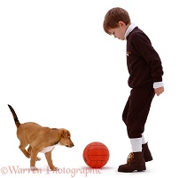 Boy playing football with a puppy