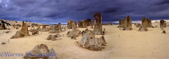 Pinnacles panorama