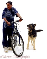 Alsatian with boy and bike