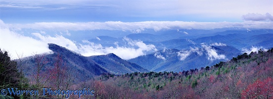 Blue Ridge Mountains panorama