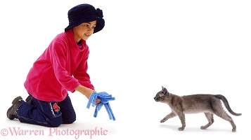 Girl beckoning a cat with a fluffy toy