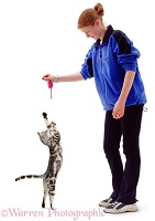 Girl with grasping silver tabby cat