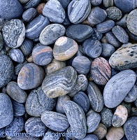 Beach-worn pebbles