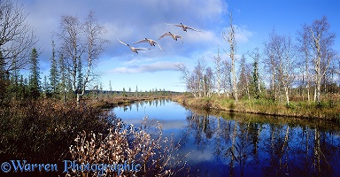 Finland river panorama