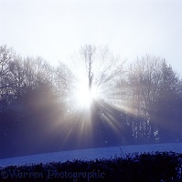 Mist and sunbeams on a frosty morning