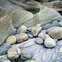 Pebbles on South Uist