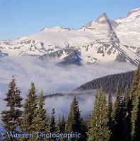 Low clouds at Mt. Rainier