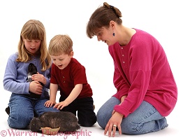 Family with rabbit & Guinea pig