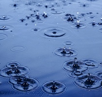 Rain drops on water