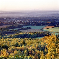 Leith Hill view