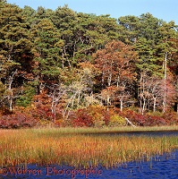 New England scenery