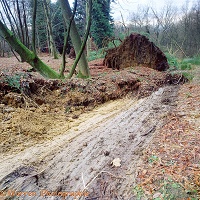Landslide divide at Leith Hill
