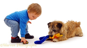 Toddler playing with terrier