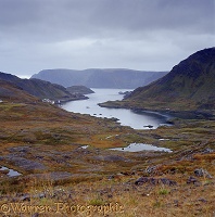 Bleak scenery in north Norway