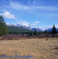 Rocky Mountains scene