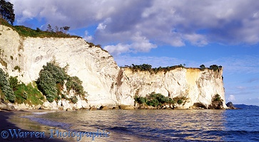 Sandstone cliffs in New Zealand