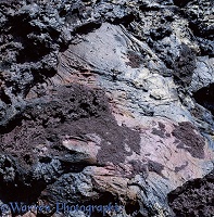 Solidified lava