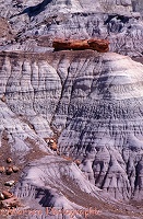 Petrified wood and eroded clay