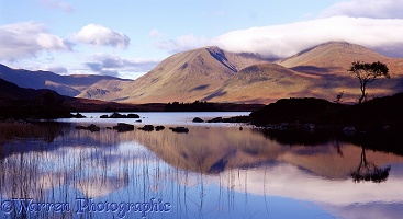 Loch with reflections