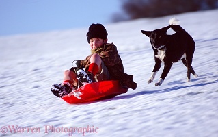 Boy and Dog sledging