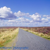 Road on North York Moors
