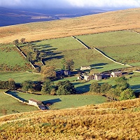 Farm in Yorkshire Dales