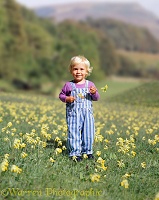 Siena with cowslips
